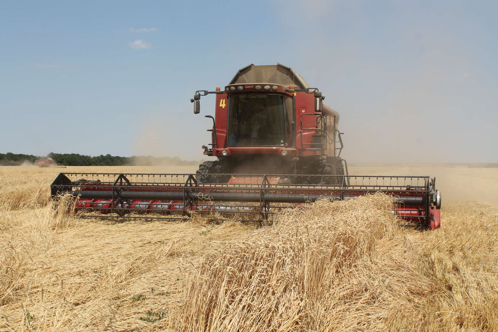 Результаты уборки озимой пшеницы в агрохолдинге АСБ на 24.07.2018