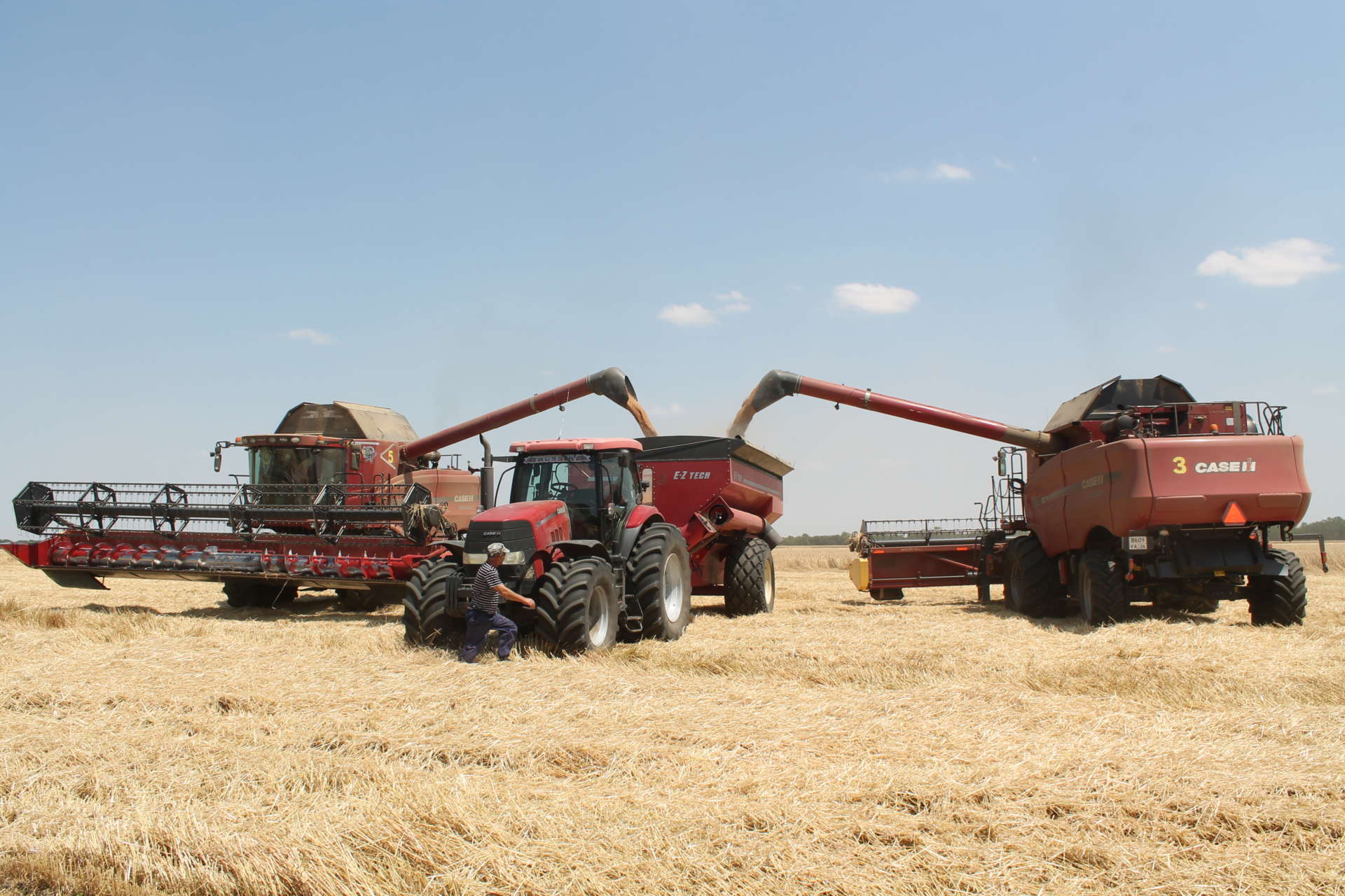 Результаты уборки озимой пшеницы в агрохолдинге АСБ на 30.07.2018