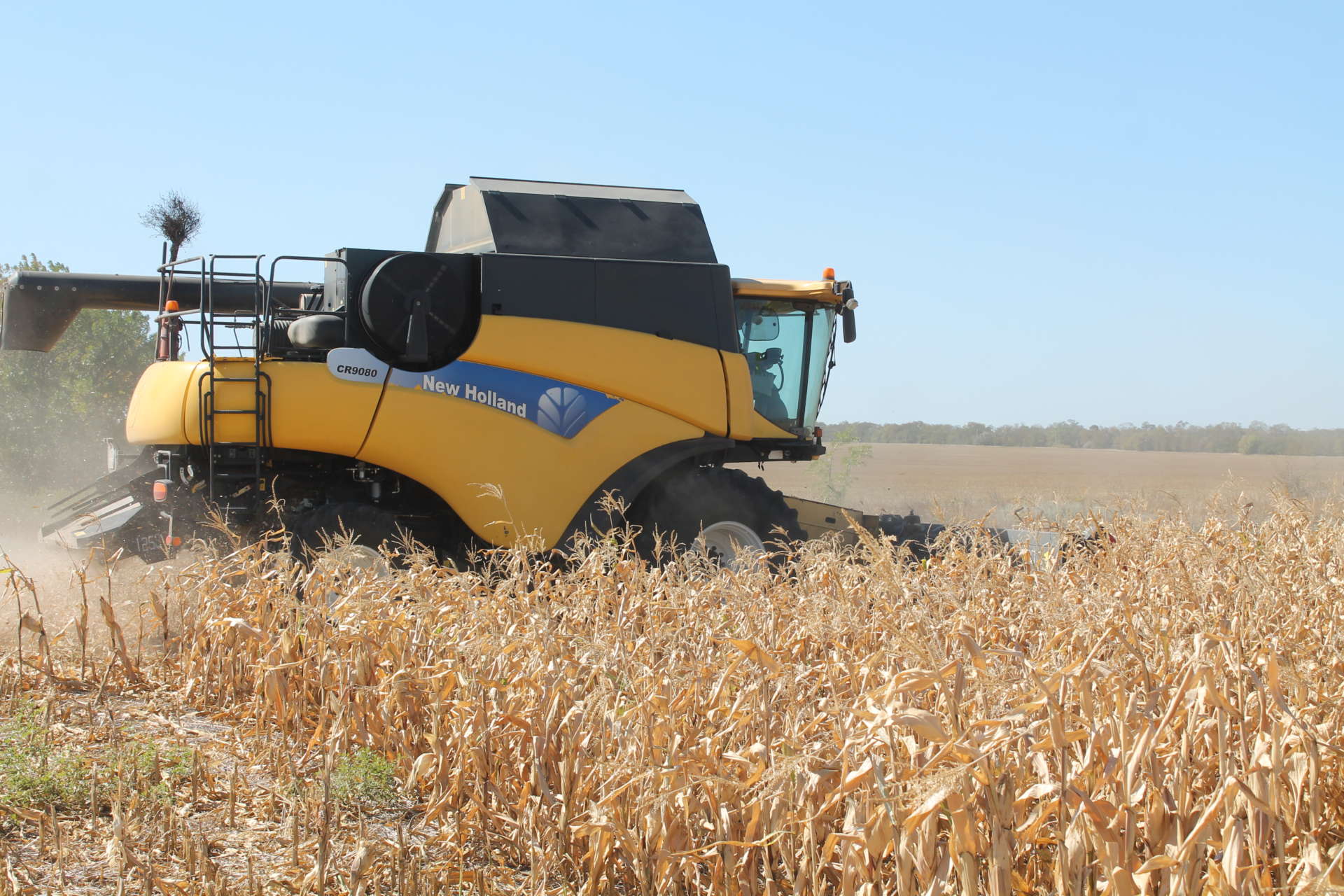 В Ставропольском крае завершилась уборка кукурузы